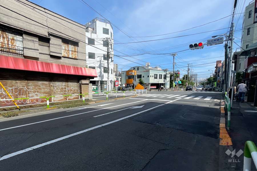 敷地の東側前面道路（北側から）