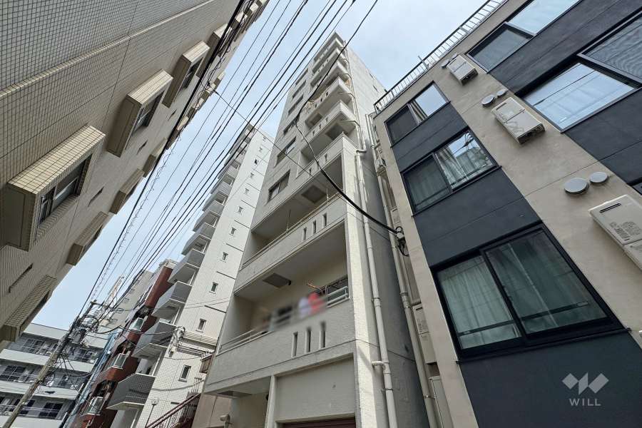 ニューファミール田端の外観（南側から）
