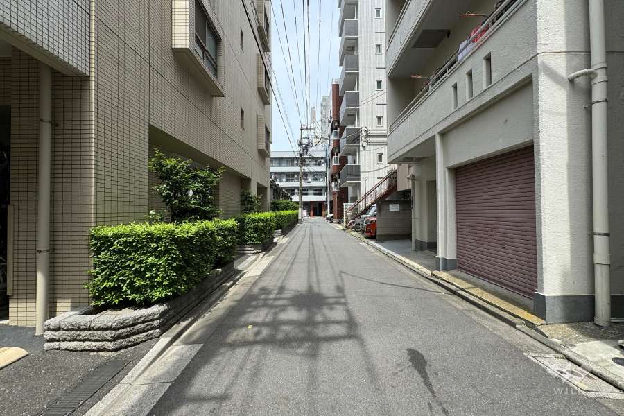 敷地南西側の前面道路