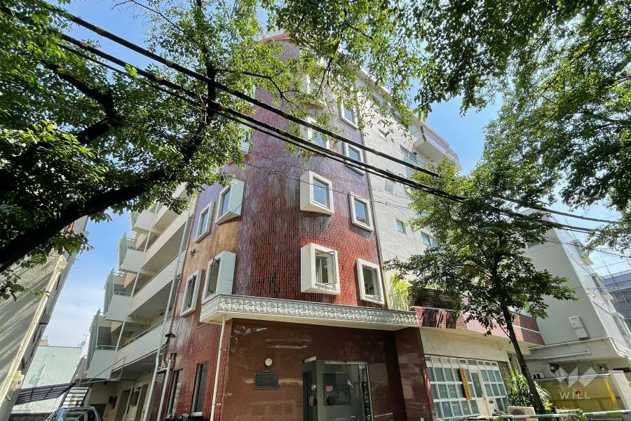 大清コーポラスの外観（北東側から）