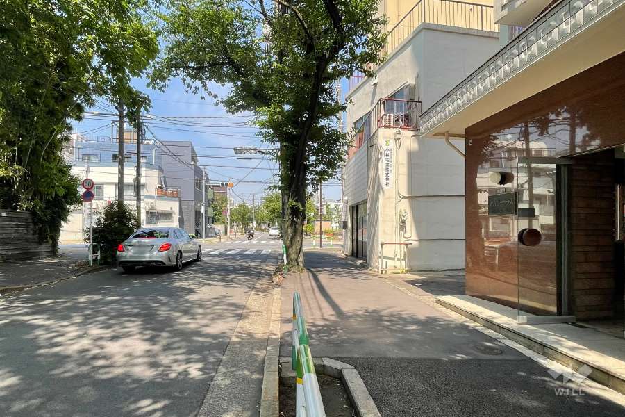 敷地の北西側前面道路（南西側から）