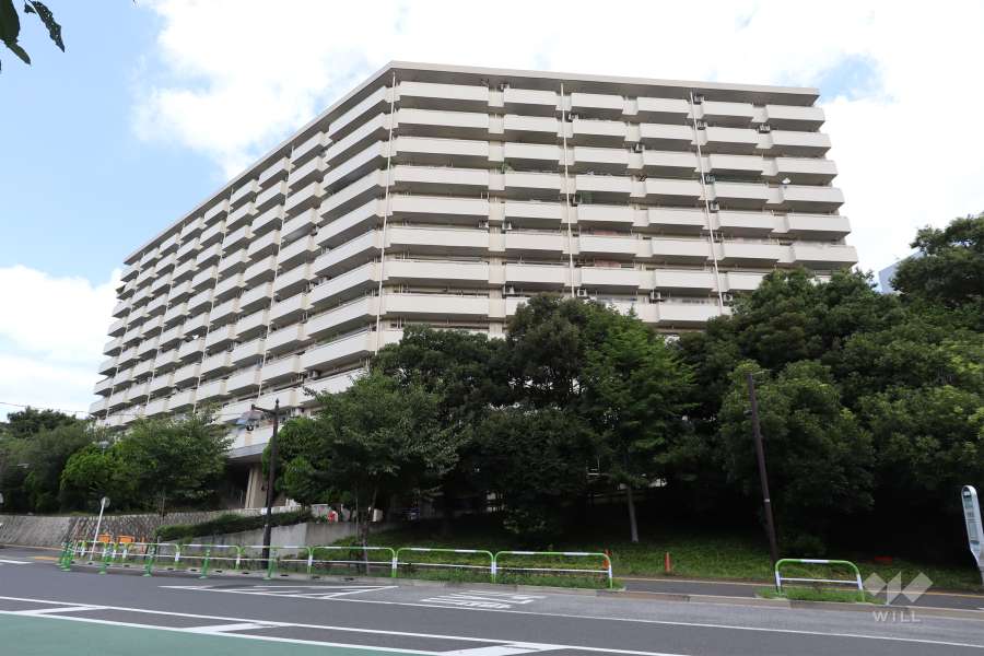 赤羽台四丁目住宅の外観（南側から）