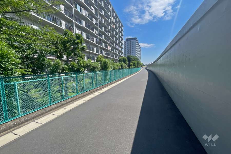 敷地南東側の前面道路（南西側から）
