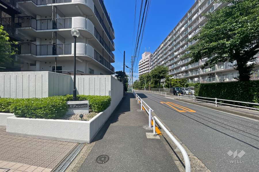 敷地北西側の前面道路（北東側から）