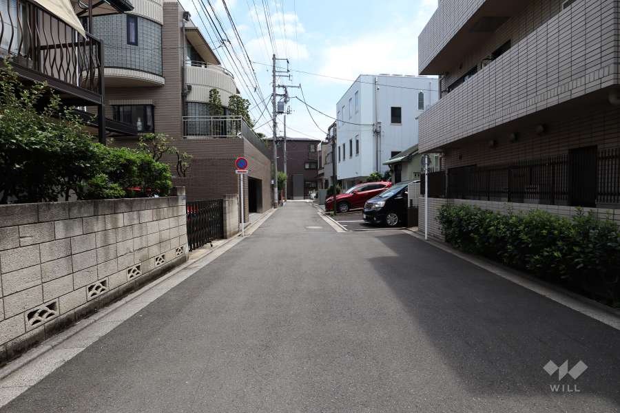 敷地北側の前面道路（西側から）