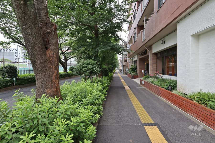 敷地東側の前面道路（北側から）