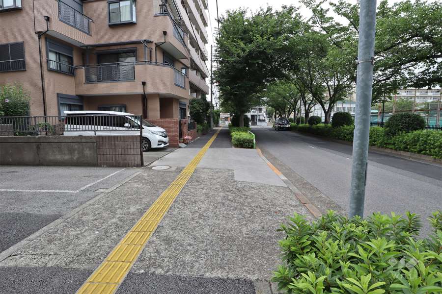 敷地東側の前面道路（南側から）