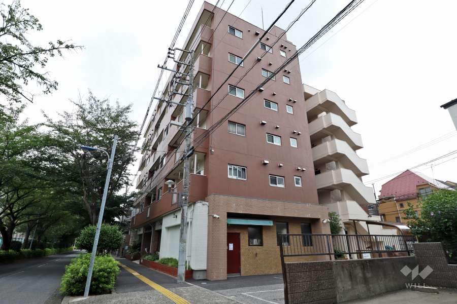 西が丘サニーハイツの外観（北東側から）