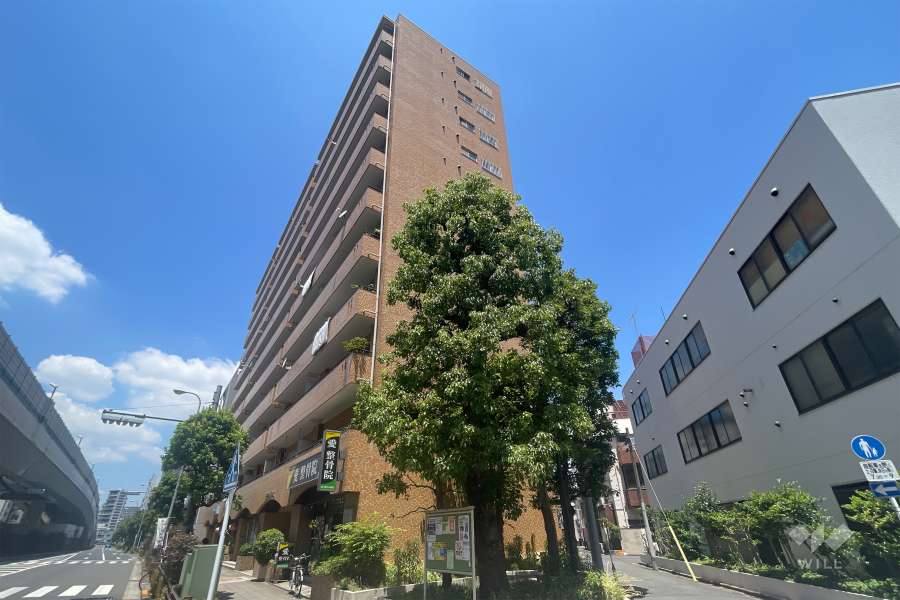 王子ローヤルコーポの外観（南東側から）