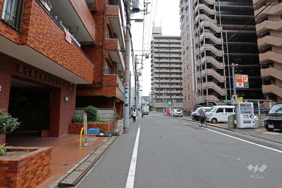 敷地南側の前面道路（西側から）