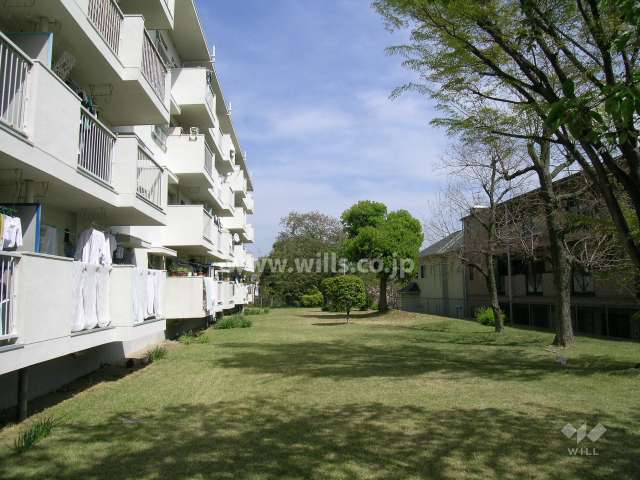 南側の芝生の庭