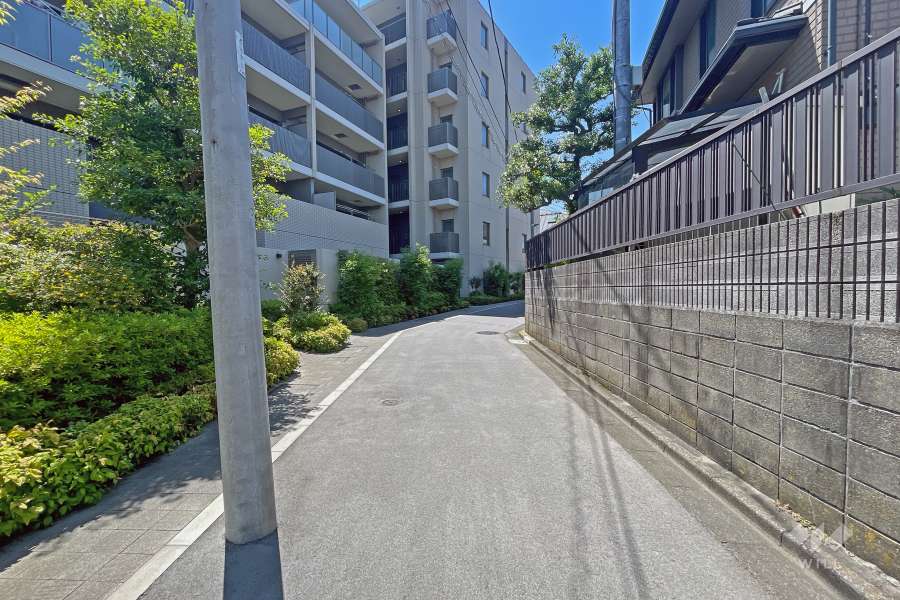 敷地の西側前面道路（南側から）
