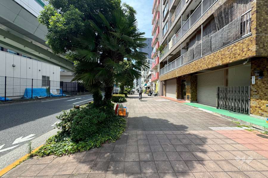 敷地南西側の前面道路　