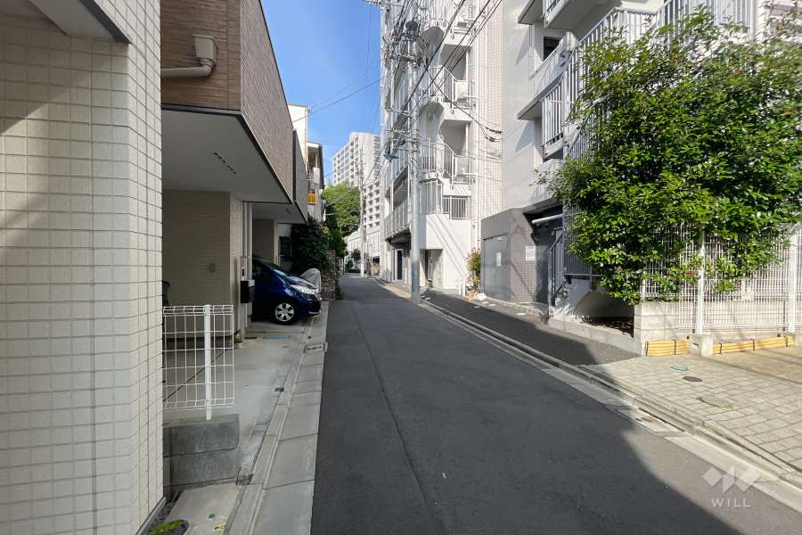 敷地の北側前面道路（西側から）