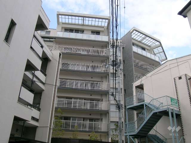 外観（南側から）