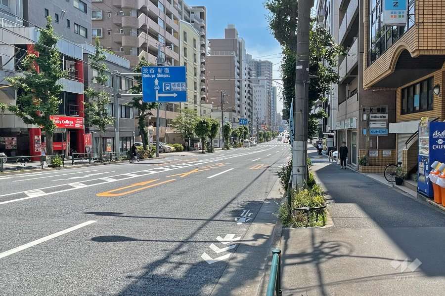 敷地南東側の前面道路（北東側から）