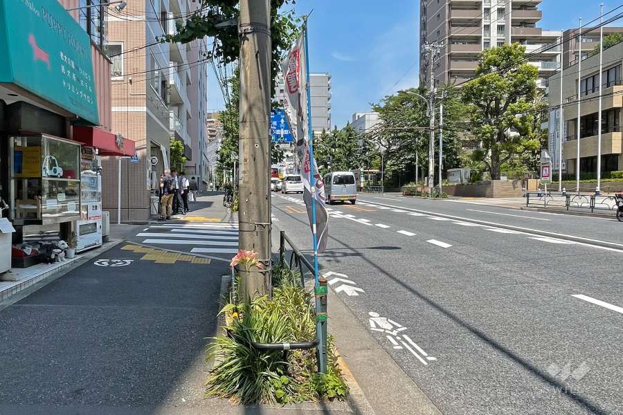 敷地南東側の前面道路（南西側から）