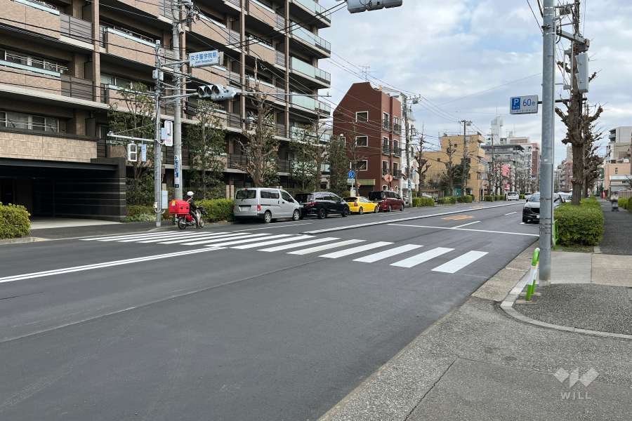 敷地南側の前面道路（西側から）