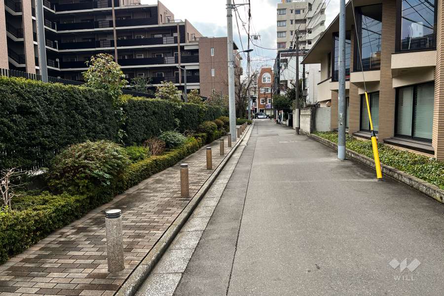 敷地西側の前面道路（北側から）