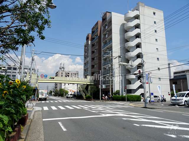 敷地北側の前面道路