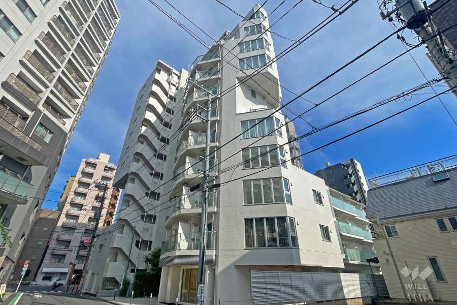 ズーム駒込の外観（北西側から）