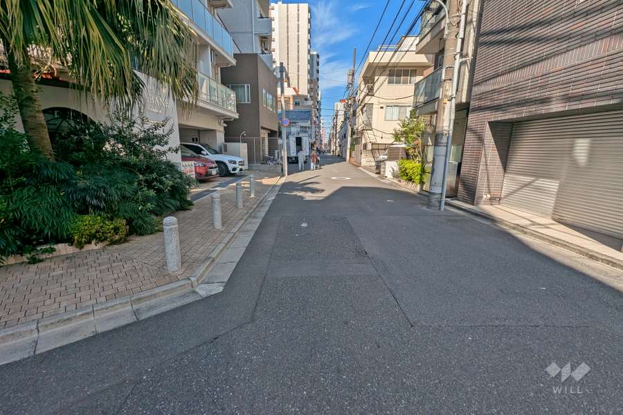 敷地東側の前面道路(南側から)