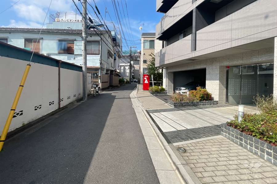 敷地南東側の前面道路　