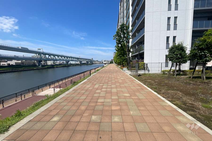 敷地南東側の前面道路