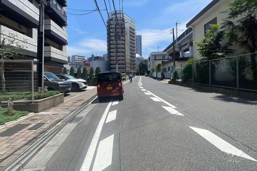 敷地の南側前面道路（西側から）