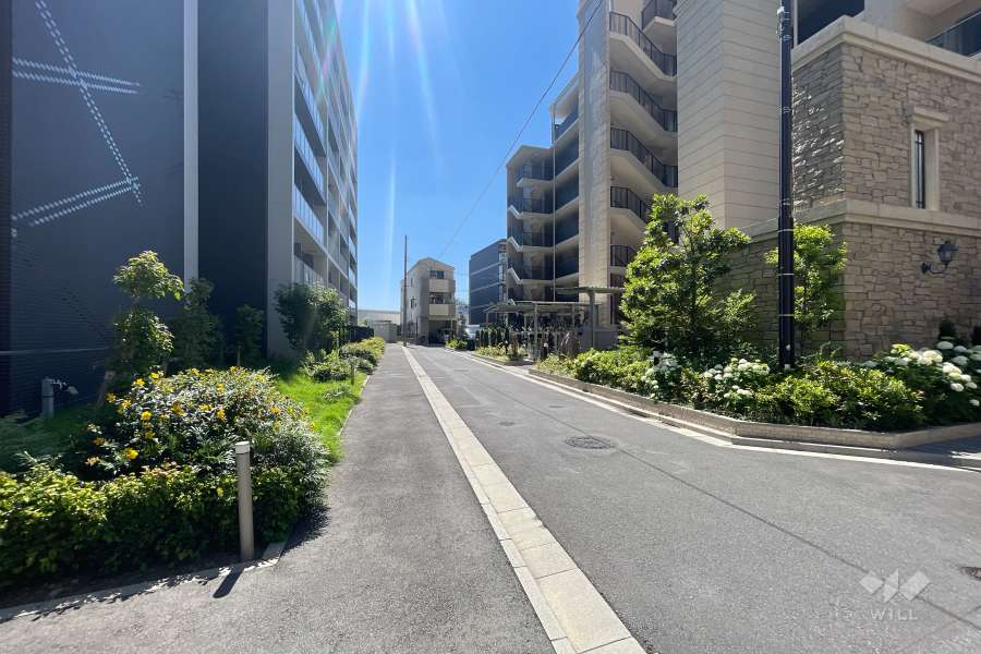 敷地北側の前面道路　