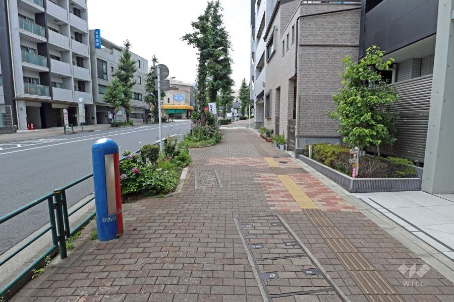 敷地の南西側前面道路は旧岩槻街道です（南東側から）。