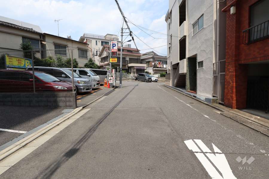 敷地の南東側前面道路（南西側から）
