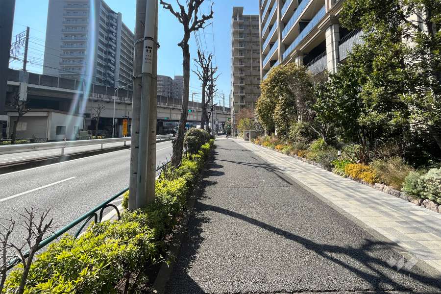 敷地南側の前面道路(東側から)