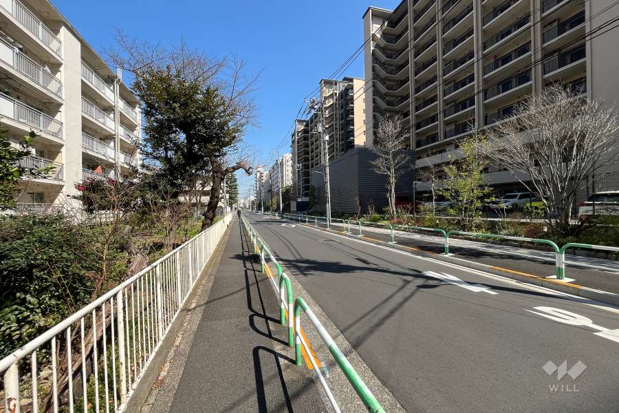 敷地北側の前面道路(西側から)