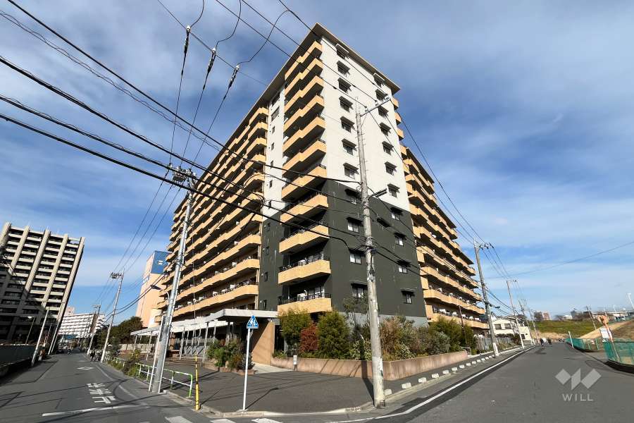 リノア北赤羽の外観（南側から）　