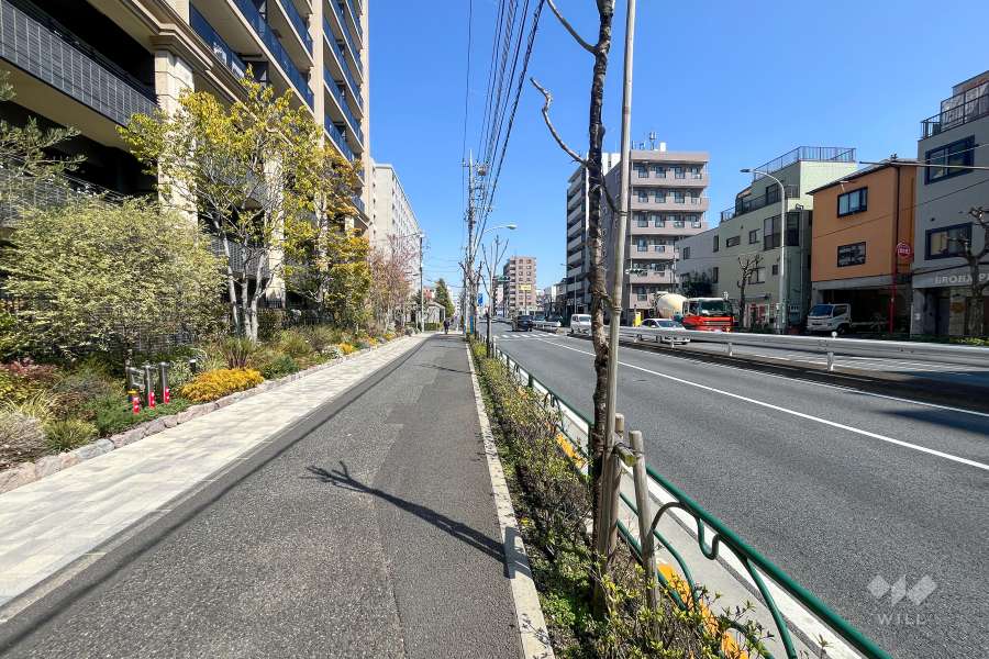 敷地南側の前面道路