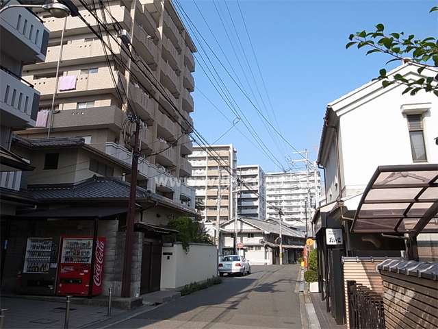 敷地東側の前面道路