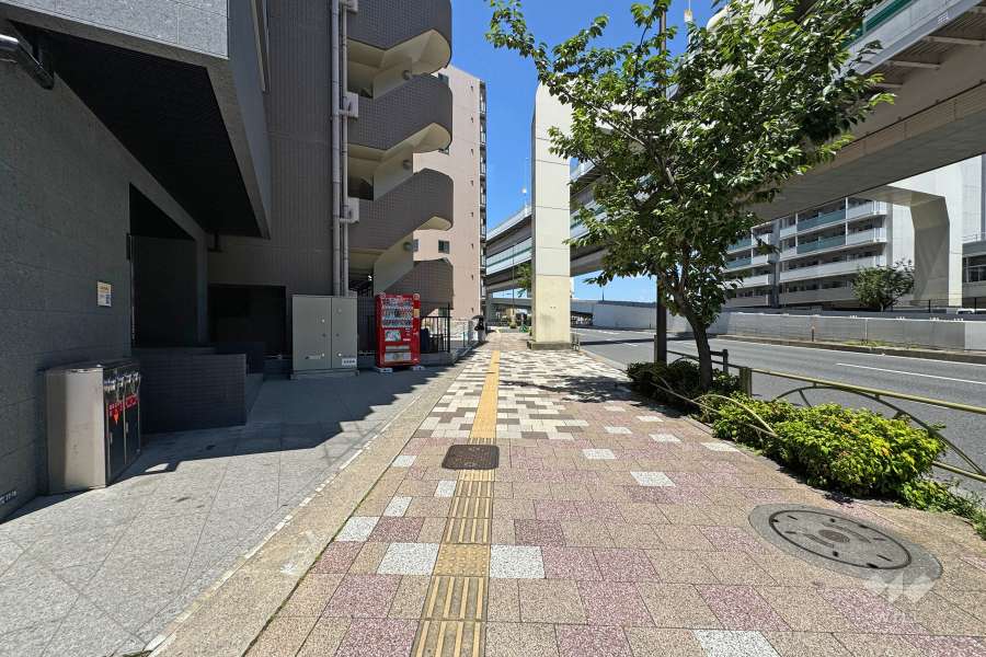 敷地北側の前面道路