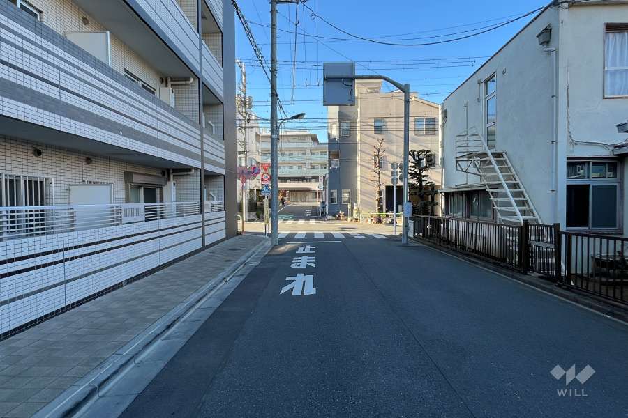 敷地の北東側前面道路（南東側から）