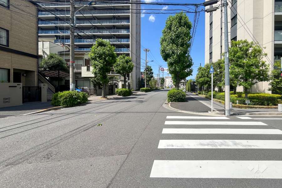 敷地西側の前面道路(南側から)