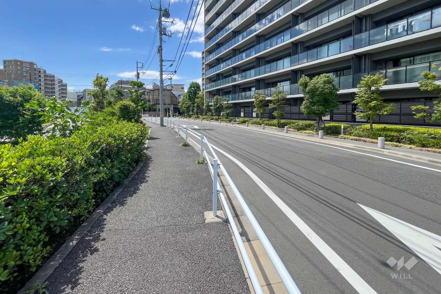 敷地南側の前面道路(東側から)