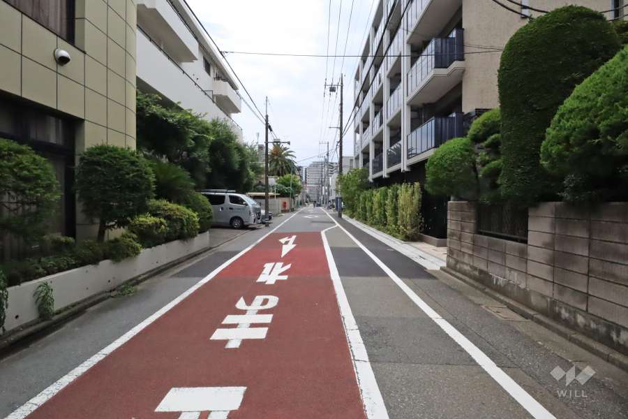 敷地南東側の前面道路(北東側から)