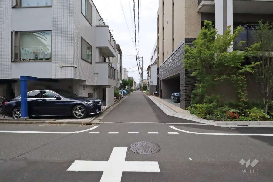 敷地南西側の前面道路(南東側から)