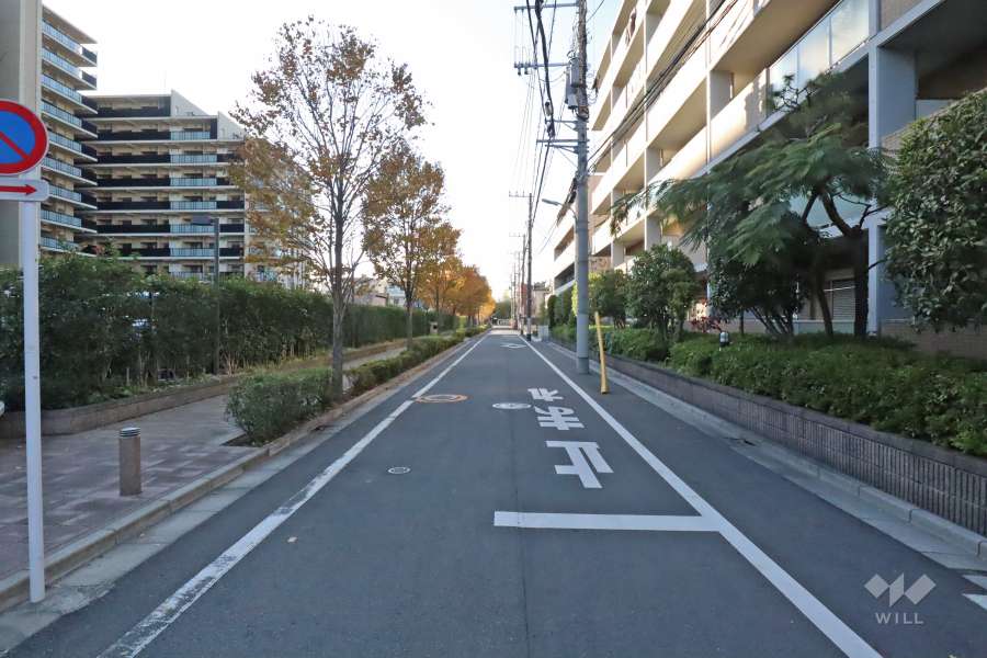 敷地北側の前面道路(西側から)