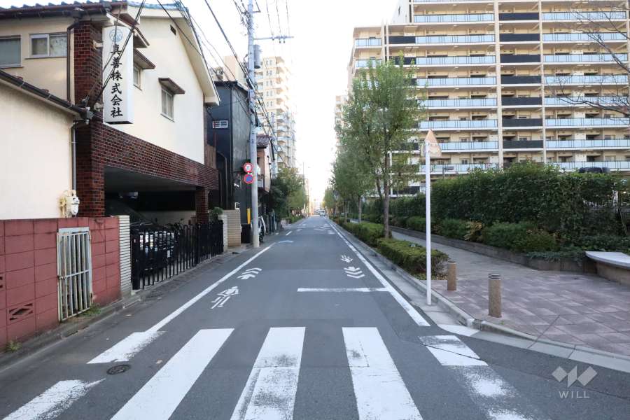 敷地東側の前面道路(北側から)