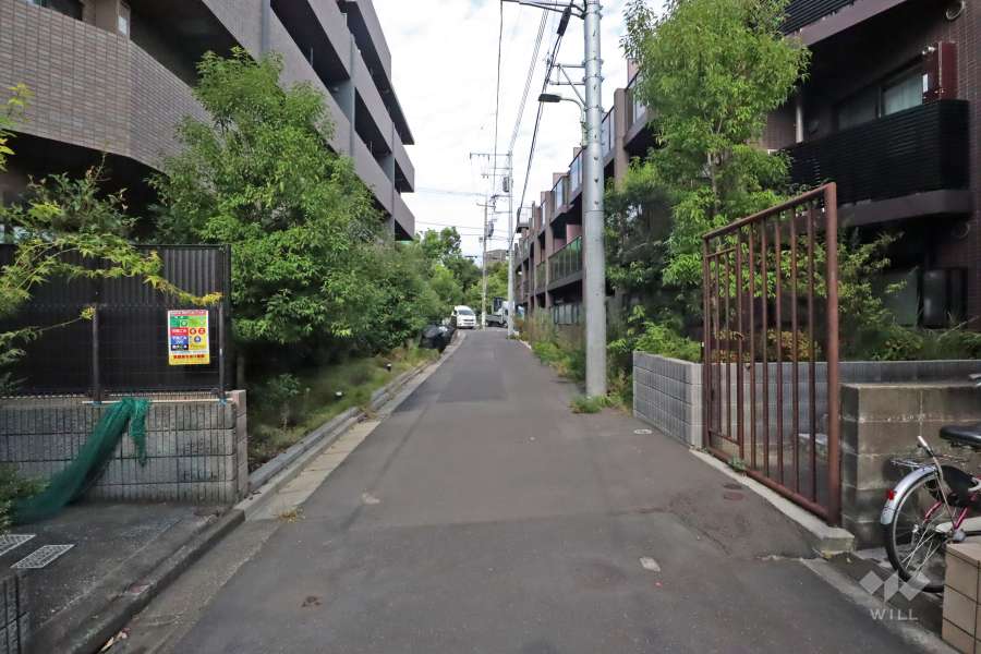 敷地南側の前面道路(西側から)