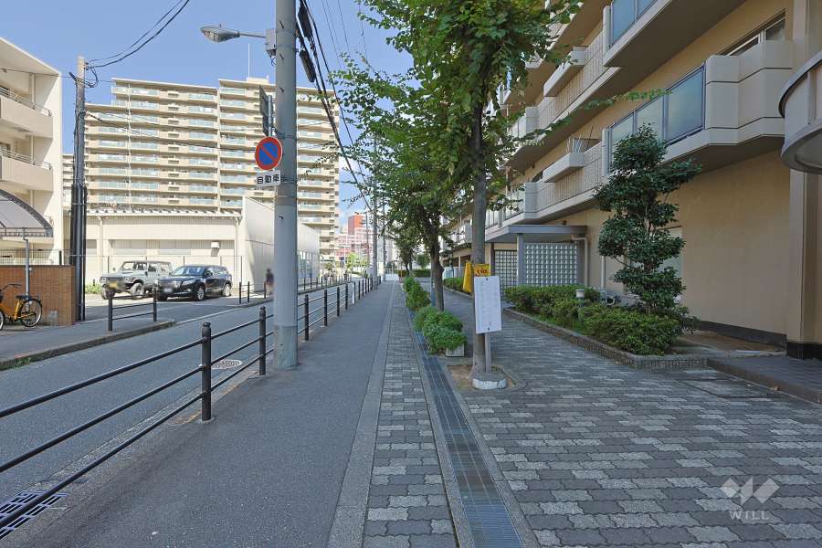 敷地西側の前面道路