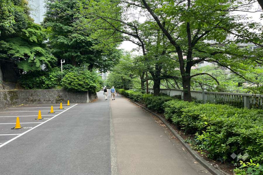 敷地の西側前面道路（北側から）