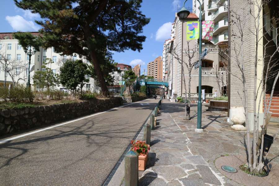 敷地南側の前面道路（花のみち）