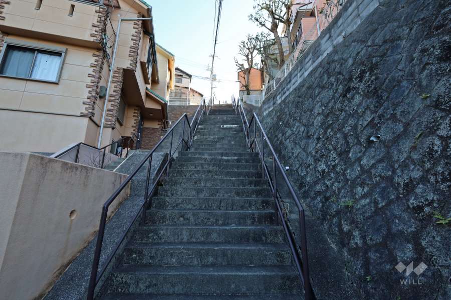 敷地北側の通路